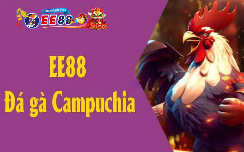EE88 Đá gà Campuchia – Sân chơi của niềm đam mê cá cược